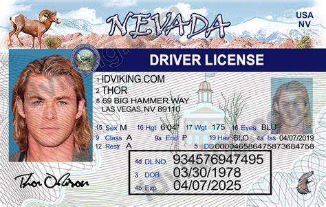 Drivers License Id Template